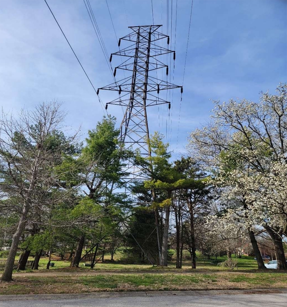trees too close to transmission tower