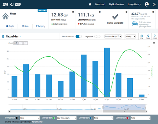 My Meter gas usage dashboard screen