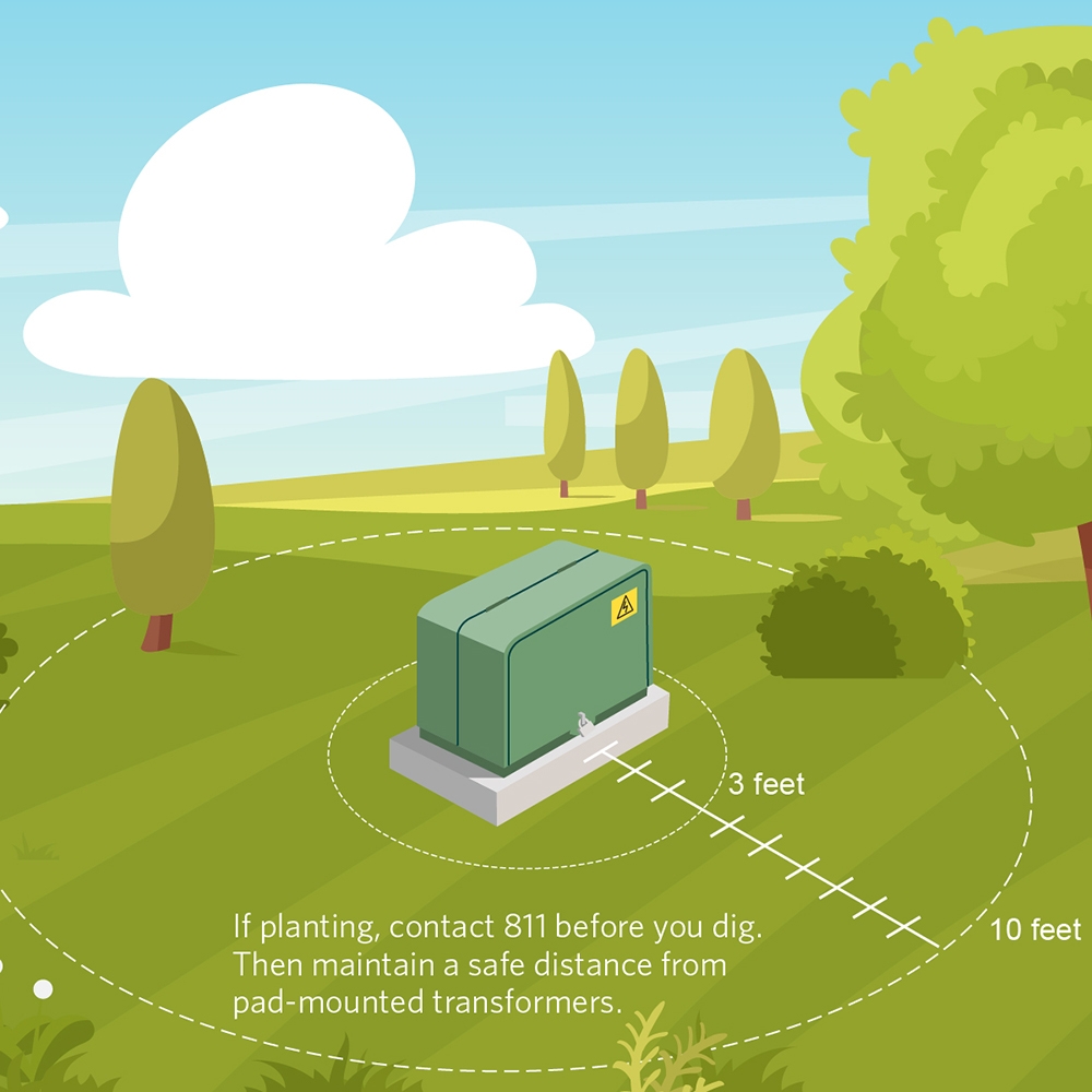 If planting, contact 811 before you dig. Then maintain a safe distance from pad-mounted transformers.