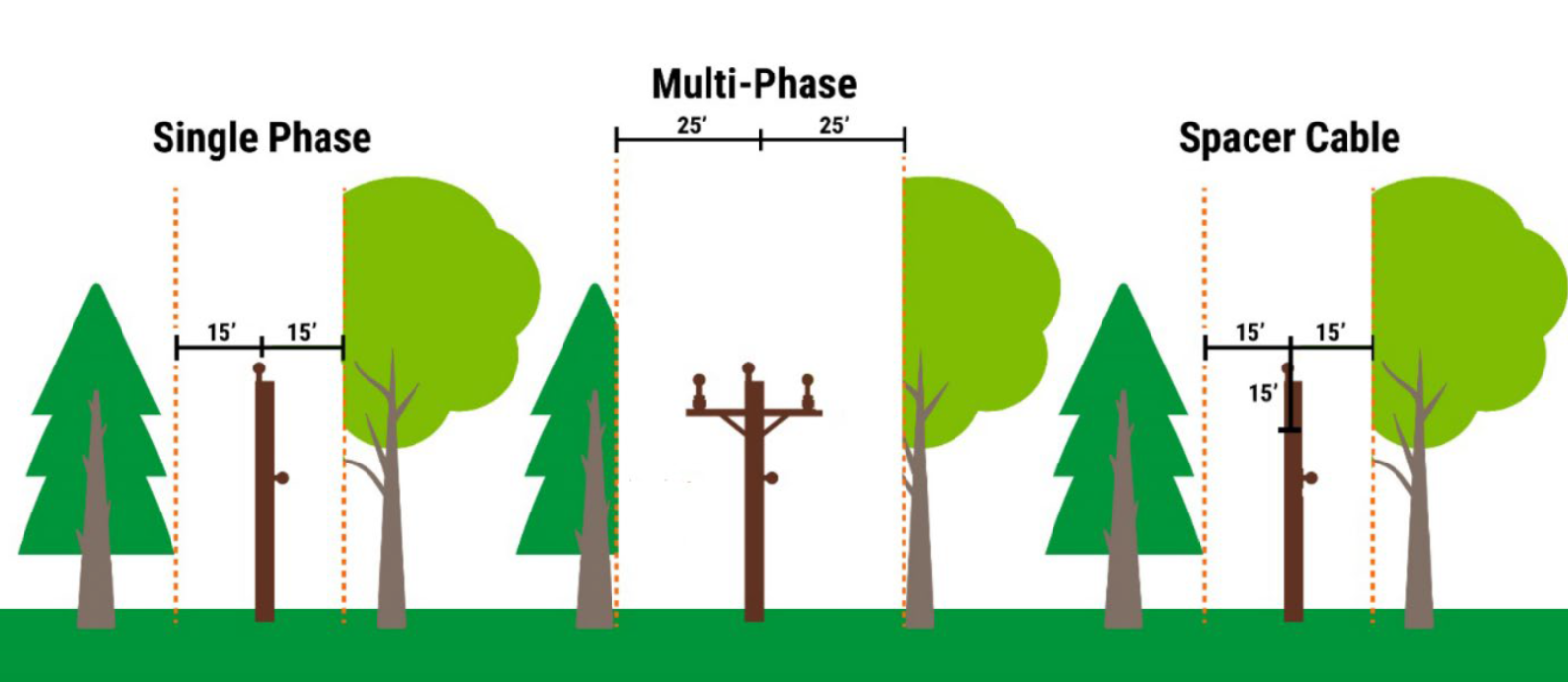 graphic showing tree spacing between distribution poles and lines