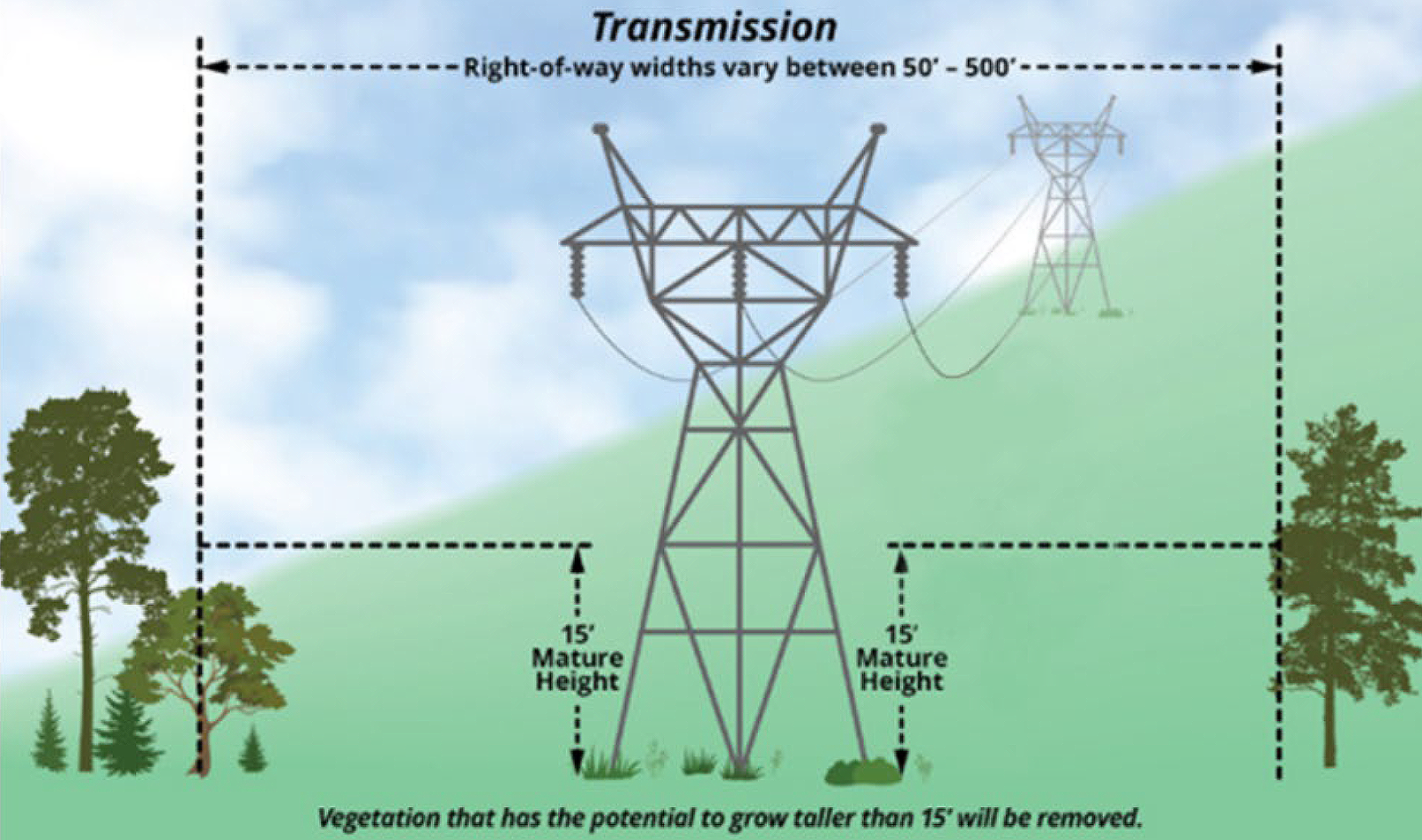 graphic showing the spacing between trees and transmission towers and lines