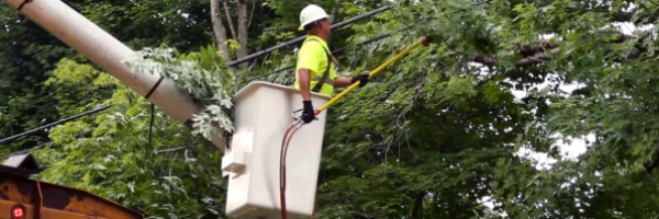man in bucket truck removing limbs from a tree near power lines